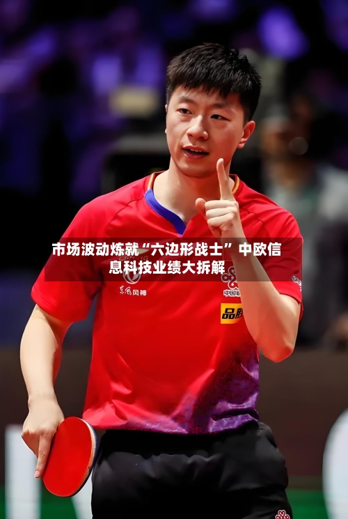 市场波动炼就“六边形战士” 中欧信息科技业绩大拆解-第2张图片