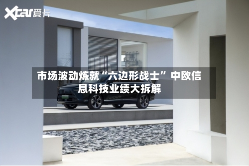 市场波动炼就“六边形战士	” 中欧信息科技业绩大拆解-第3张图片