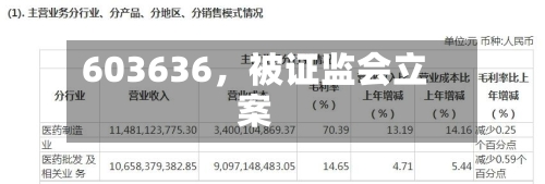603636，被证监会立案-第3张图片