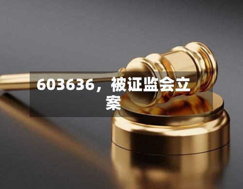 603636，被证监会立案-第2张图片