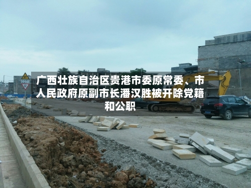 广西壮族自治区贵港市委原常委、市人民政府原副市长潘汉胜被开除党籍和公职-第2张图片