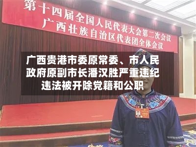 广西贵港市委原常委	、市人民政府原副市长潘汉胜严重违纪违法被开除党籍和公职-第2张图片