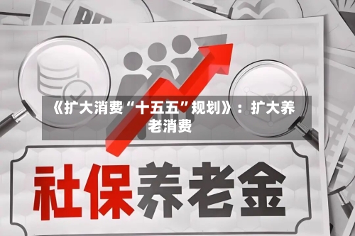 《扩大消费“十五五”规划》：扩大养老消费-第2张图片