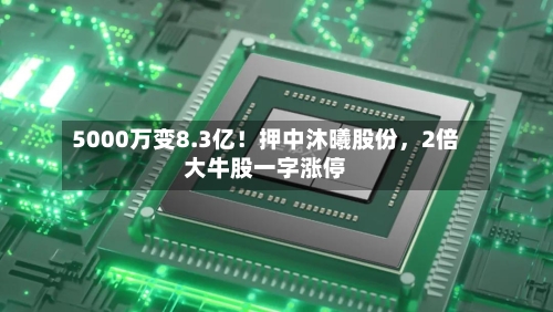 5000万变8.3亿！押中沐曦股份，2倍大牛股一字涨停-第3张图片