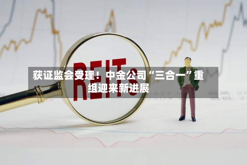 获证监会受理！中金公司“三合一”重组迎来新进展-第3张图片