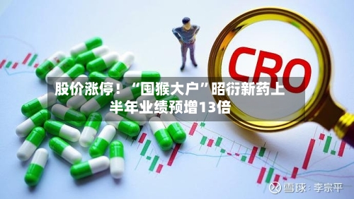 股价涨停！“囤猴大户”昭衍新药上半年业绩预增13倍-第2张图片