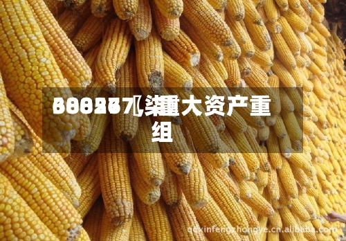 68827〖柒〗、300567，重大资产重组-第2张图片