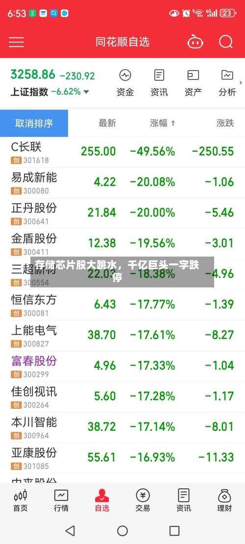 存储芯片股大跳水，千亿巨头一字跌停-第3张图片