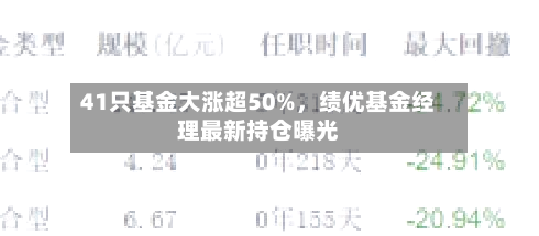 41只基金大涨超50%，绩优基金经理最新持仓曝光-第3张图片