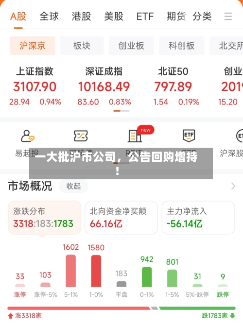 一大批沪市公司，公告回购增持！-第3张图片