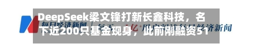 DeepSeek梁文锋打新长鑫科技	，名下近200只基金现身，此前刚融资510亿-第3张图片