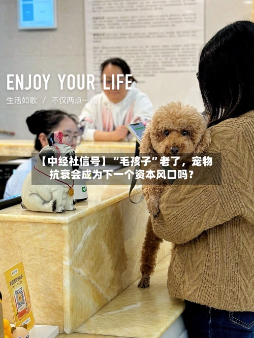 【中经社信号】“毛孩子	”老了，宠物抗衰会成为下一个资本风口吗？-第2张图片