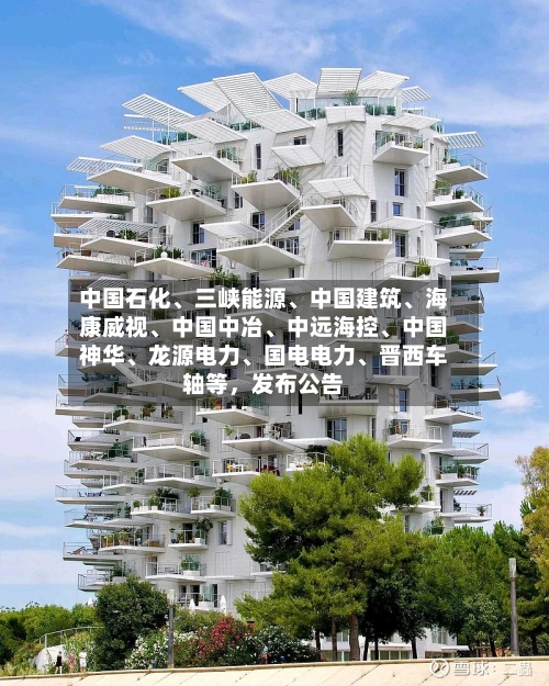 中国石化、三峡能源	、中国建筑、海康威视、中国中冶	、中远海控、中国神华、龙源电力	、国电电力、晋西车轴等，发布公告-第2张图片