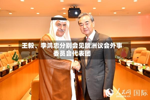 王毅、李鸿忠分别会见欧洲议会外事委员会代表团-第2张图片