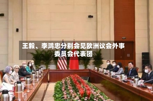 王毅、李鸿忠分别会见欧洲议会外事委员会代表团-第3张图片