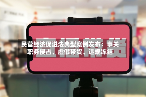 民营经济促进法典型案例发布：事关职务侵占、虚假带货、违规冻结-第2张图片