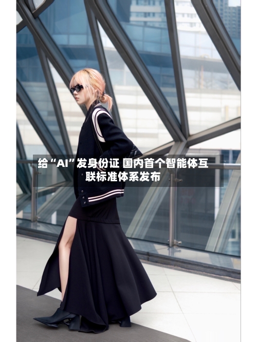 给“AI”发身份证 国内首个智能体互联标准体系发布-第2张图片