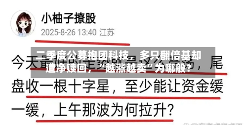 二季度公募抱团科技	，多只翻倍基却遭净赎回，“越涨越卖	”为哪般？-第2张图片