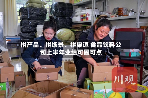 拼产品、拼场景、拼渠道 食品饮料公司上半年业绩可圈可点-第3张图片