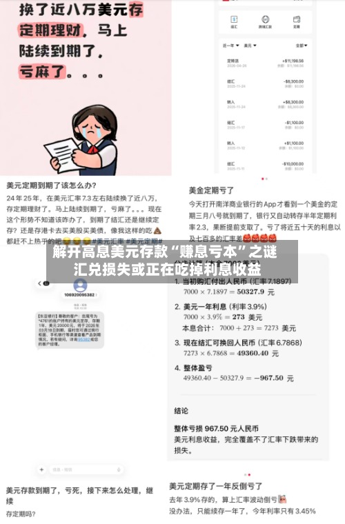 解开高息美元存款“赚息亏本”之谜 汇兑损失或正在吃掉利息收益-第2张图片