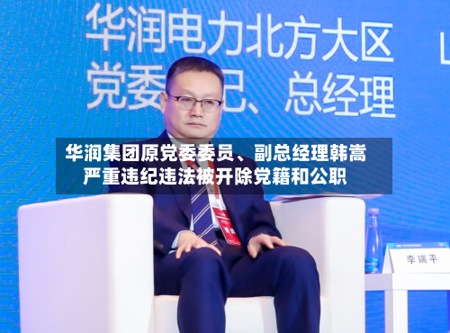 华润集团原党委委员、副总经理韩嵩严重违纪违法被开除党籍和公职-第2张图片