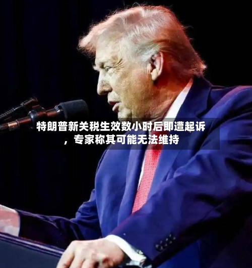 特朗普新关税生效数小时后即遭起诉，专家称其可能无法维持-第2张图片