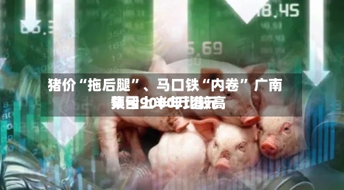 猪价“拖后腿”	、马口铁“内卷” 广南集团上半年比较高预亏9000万港元-第2张图片