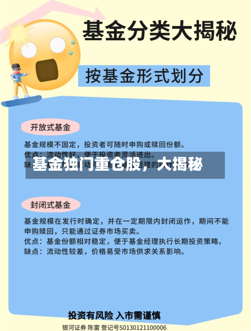 基金独门重仓股，大揭秘-第3张图片