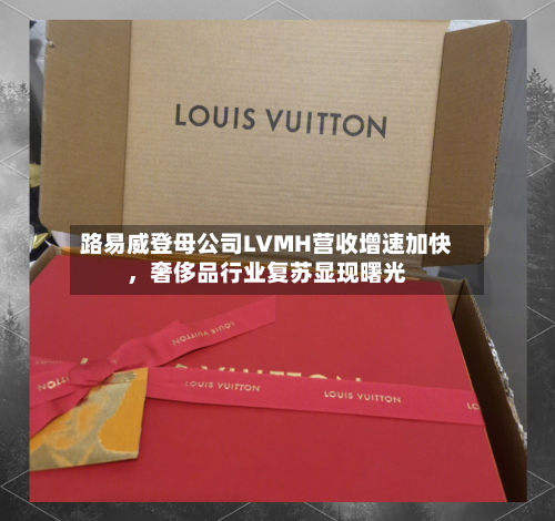 路易威登母公司LVMH营收增速加快	，奢侈品行业复苏显现曙光-第3张图片
