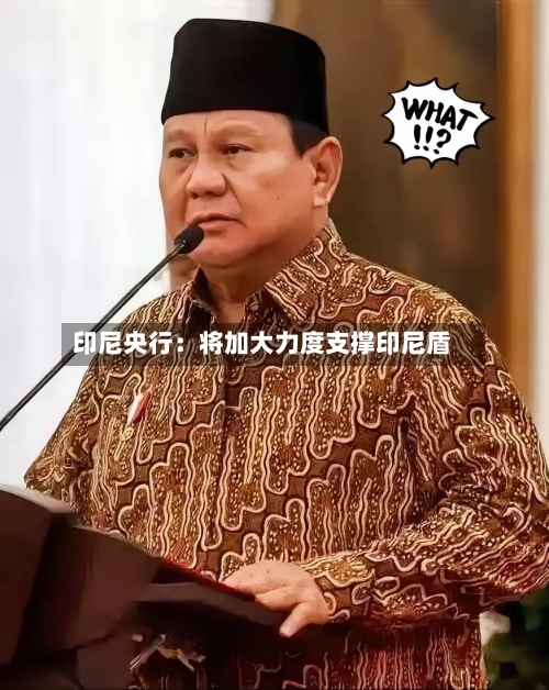 印尼央行：将加大力度支撑印尼盾-第2张图片