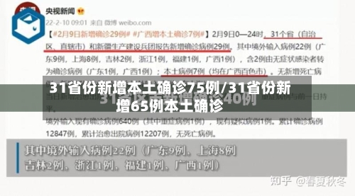31省份新增本土确诊75例/31省份新增65例本土确诊-第3张图片