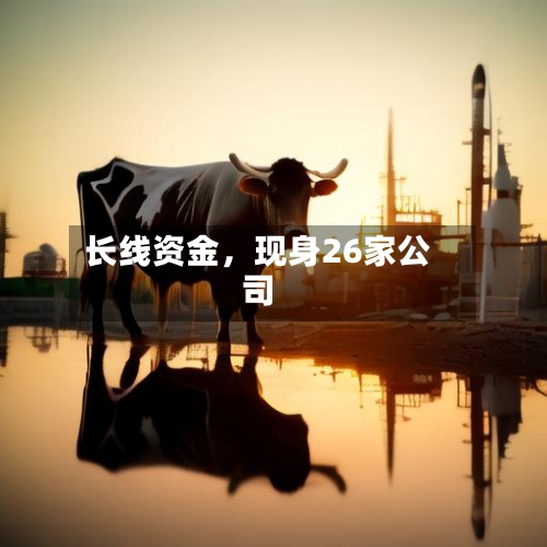长线资金	，现身26家公司-第2张图片