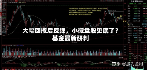 大幅回撤后反弹，小微盘股见底了？基金最新研判-第2张图片