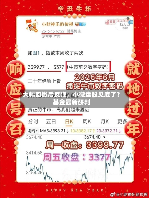 大幅回撤后反弹	，小微盘股见底了？基金最新研判-第3张图片