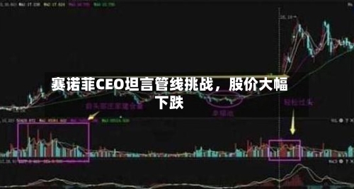 赛诺菲CEO坦言管线挑战，股价大幅下跌-第3张图片