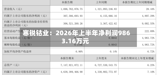寒锐钴业:2026年上半年净利润9863.16万元-第2张图片