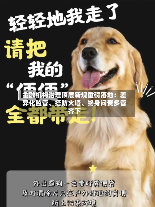 金融机构治理顶层新规重磅落地：差异化监管、搭防火墙、终身问责多管齐下-第3张图片