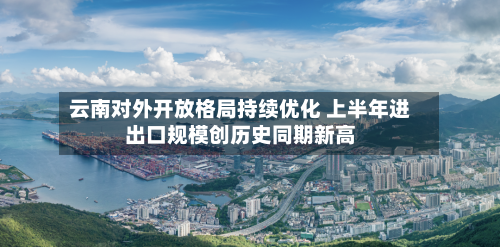 云南对外开放格局持续优化 上半年进出口规模创历史同期新高-第2张图片