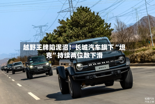 越野王牌陷泥沼！长城汽车旗下“坦克”持续两位数下滑-第3张图片