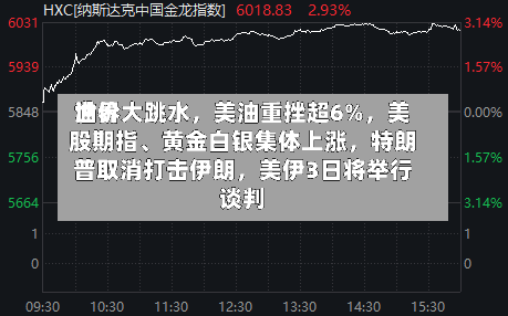 世界油价大跳水	，美油重挫超6%，美股期指、黄金白银集体上涨，特朗普取消打击伊朗	，美伊3日将举行谈判-第3张图片