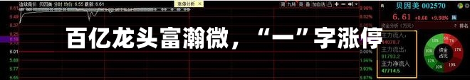 百亿龙头富瀚微	，“一	”字涨停-第3张图片