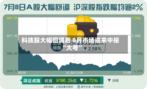 科技股大幅回调后 8月市场迎来中报“大考	”-第2张图片