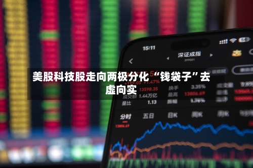 美股科技股走向两极分化 “钱袋子	”去虚向实-第2张图片