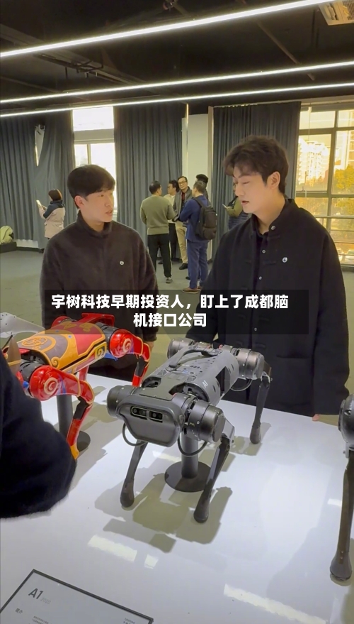 宇树科技早期投资人，盯上了成都脑机接口公司-第3张图片