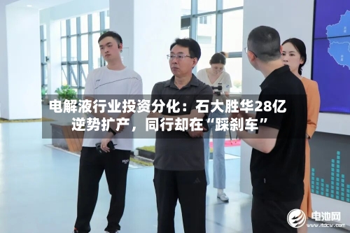 电解液行业投资分化：石大胜华28亿逆势扩产，同行却在“踩刹车	”-第2张图片