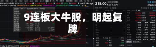 9连板大牛股，明起复牌-第3张图片
