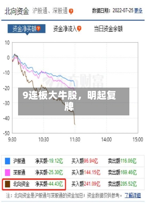 9连板大牛股，明起复牌-第2张图片