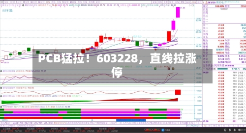 PCB猛拉！603228，直线拉涨停-第2张图片