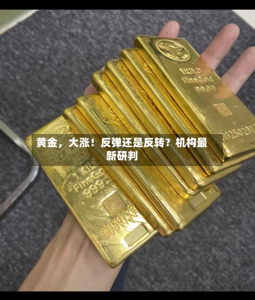 黄金，大涨！反弹还是反转？机构最新研判-第2张图片