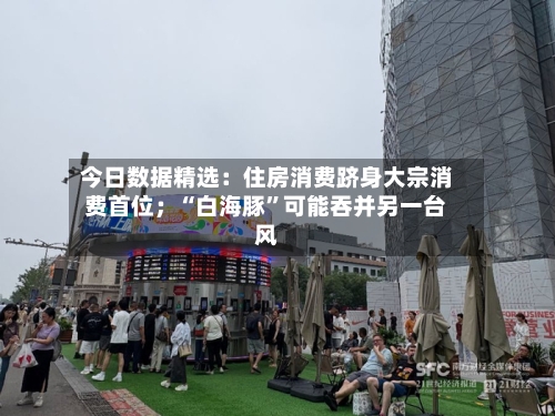 今日数据精选：住房消费跻身大宗消费首位；“白海豚”可能吞并另一台风-第2张图片